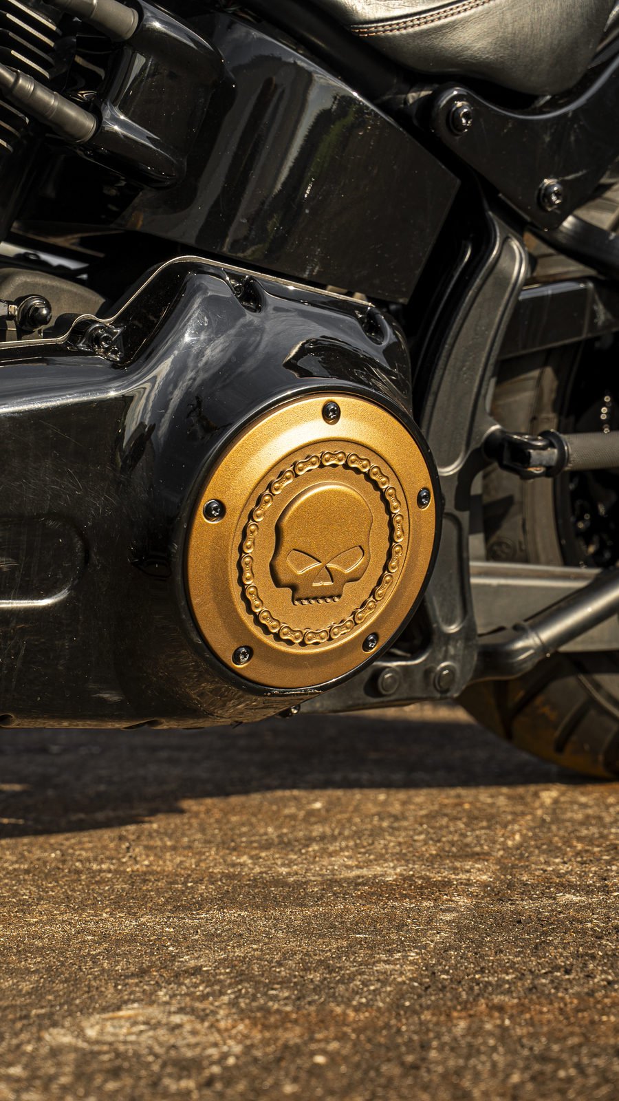 Harley Fat Boy Lo - Tampa