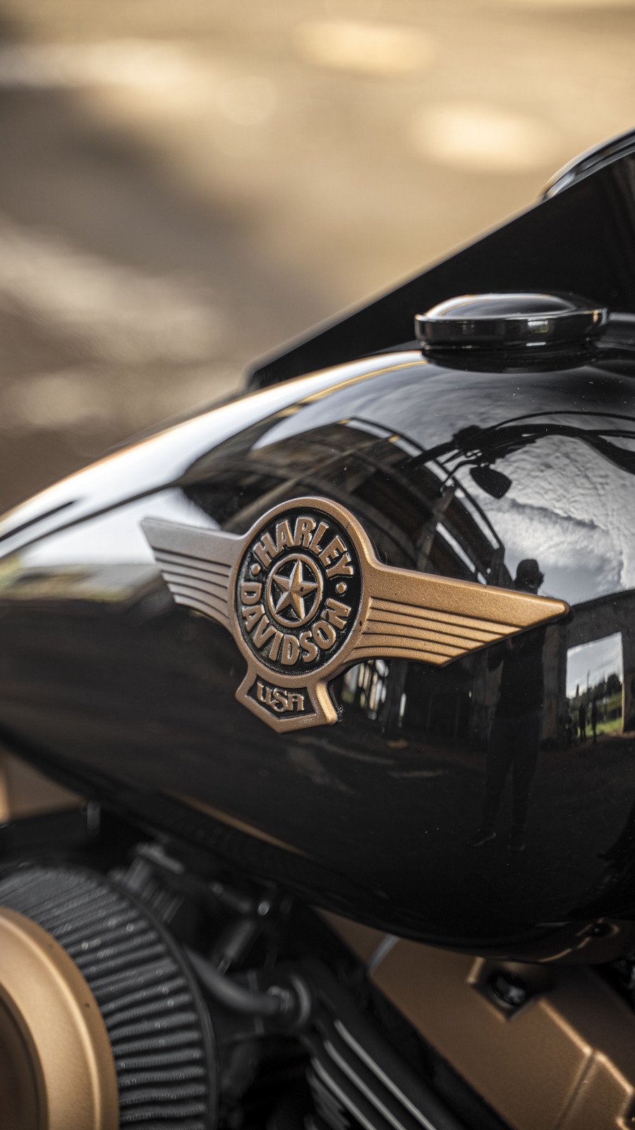 Harley Fat Boy Lo - Tanque