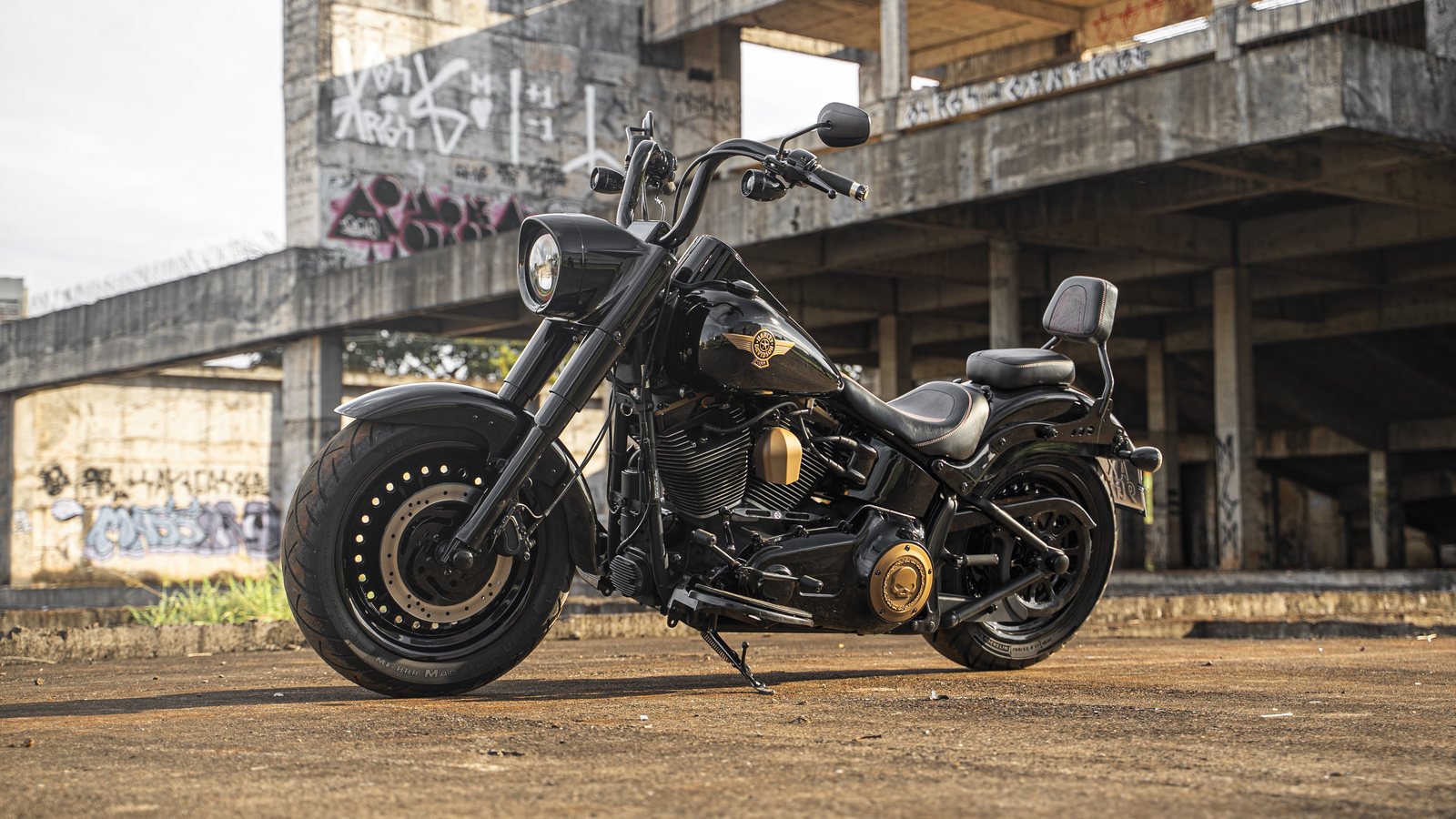 Harley Fat Boy Lo - Visão geral