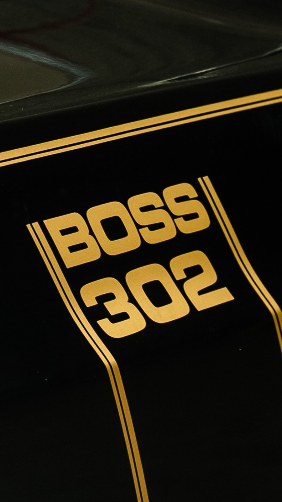 Mustangs - Decalque Boss 302