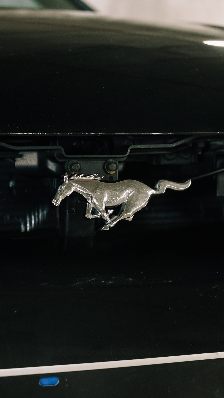 Mustangs - Logo do GT