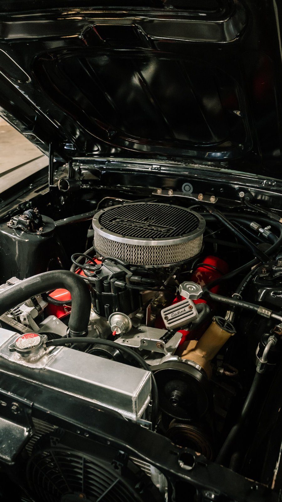 Mustangs - Motor do 1970