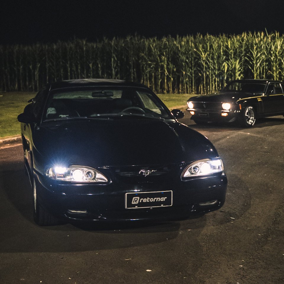 Mustangs