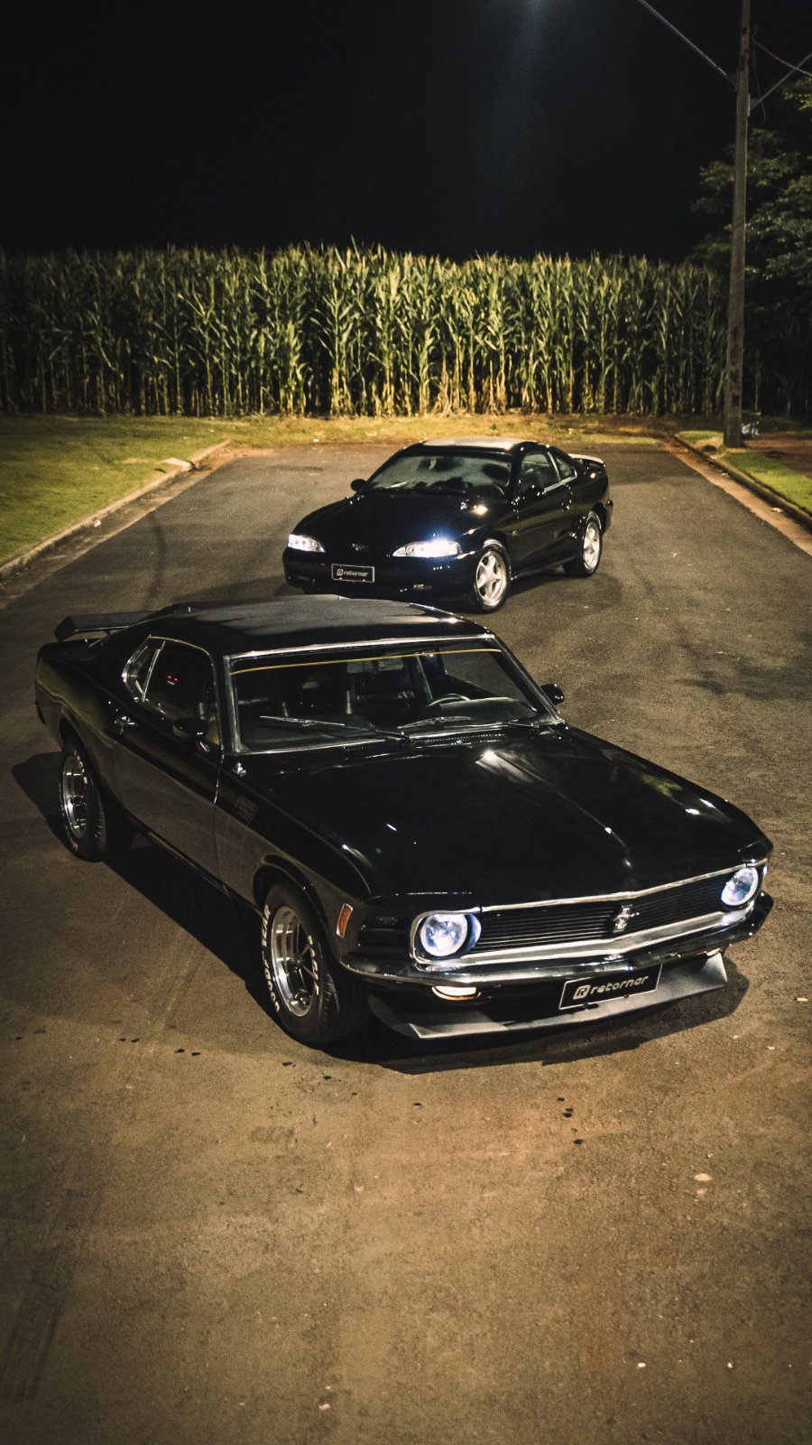 Mustangs - Mustangs