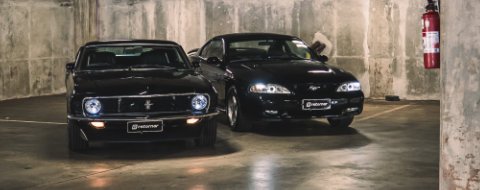Mustangs