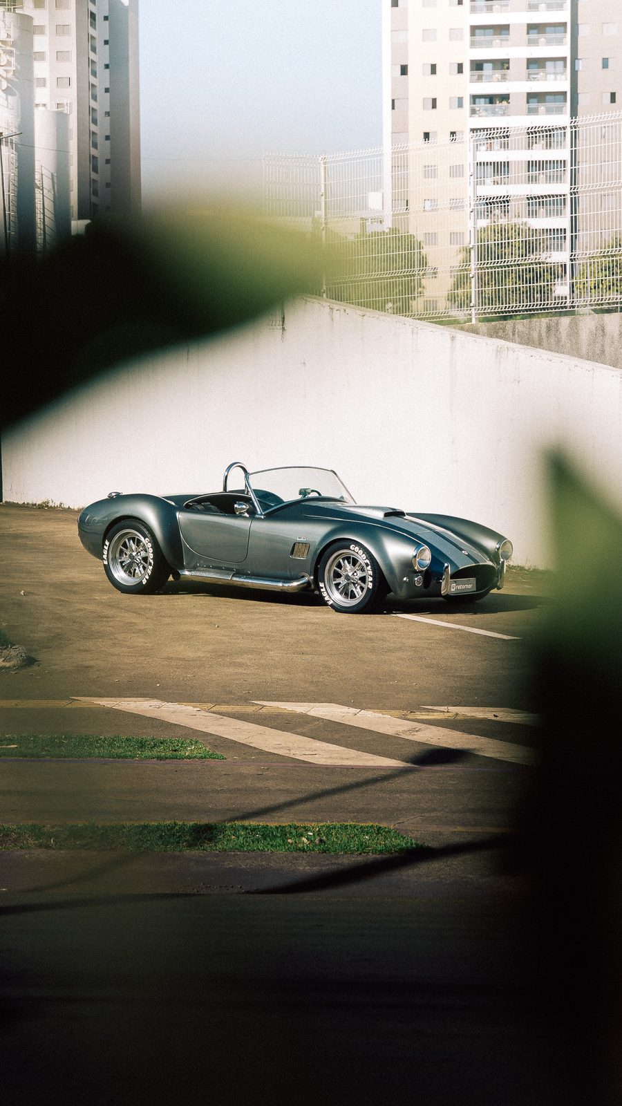 Shelby Cobra V8 - Visão artística